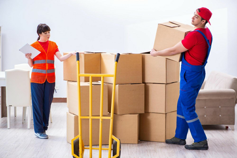 Unlocking Opportunities with Free Fire Warden Courses - Fire Warden Training Ireland