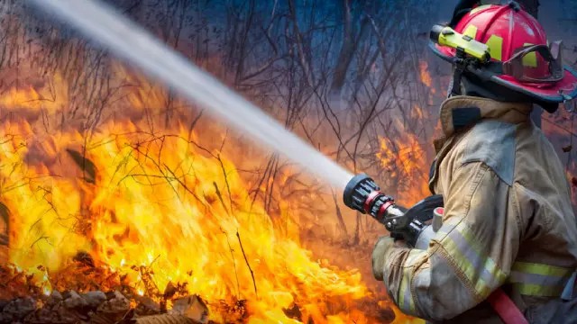 Fire Warden & Fire Marshal Training: Your Path to Workplace Fire Safet - Fire Warden Training Ireland