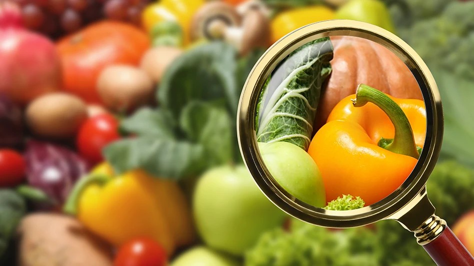 HACCP Certification: The Essential Ingredient for Food Safety Complian - Fire Warden Training Ireland