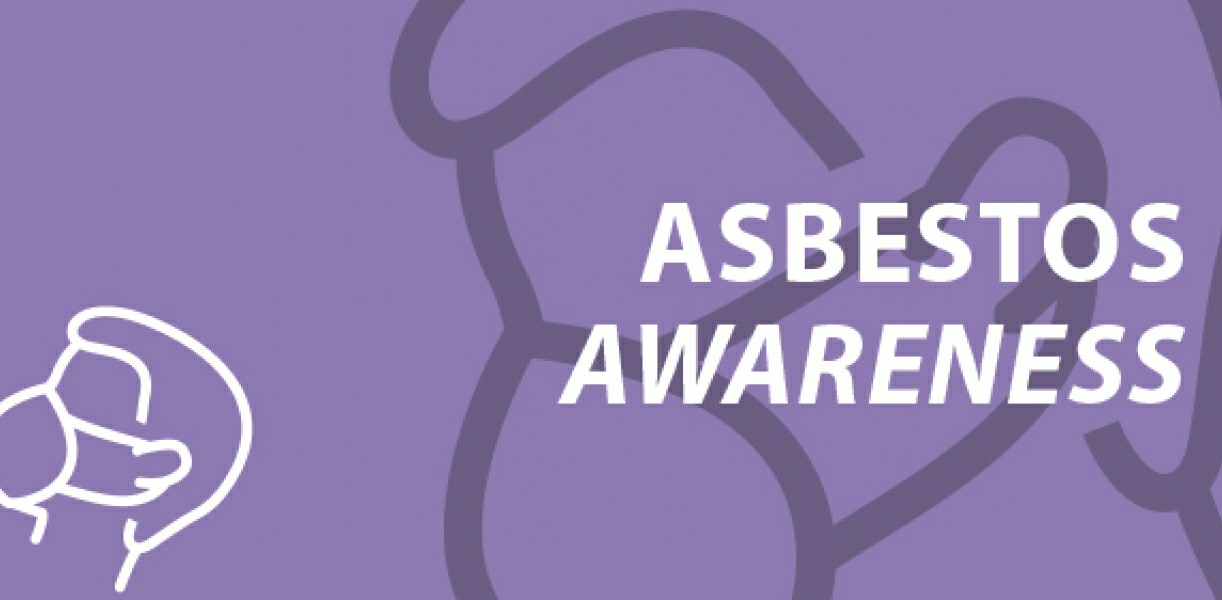 Secure Your Future: Online Asbestos Awareness Certification for Irish  - Fire Warden Training Ireland